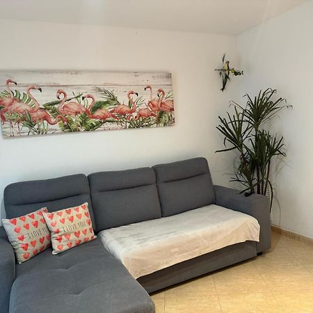 Parrot'S House Appartement Lloret de Mar Buitenkant foto