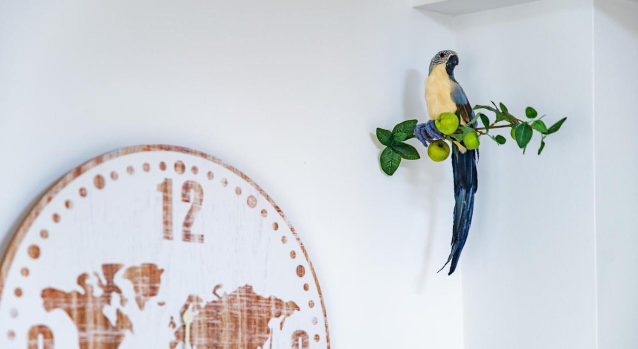 Parrot'S House Appartement Lloret de Mar Buitenkant foto